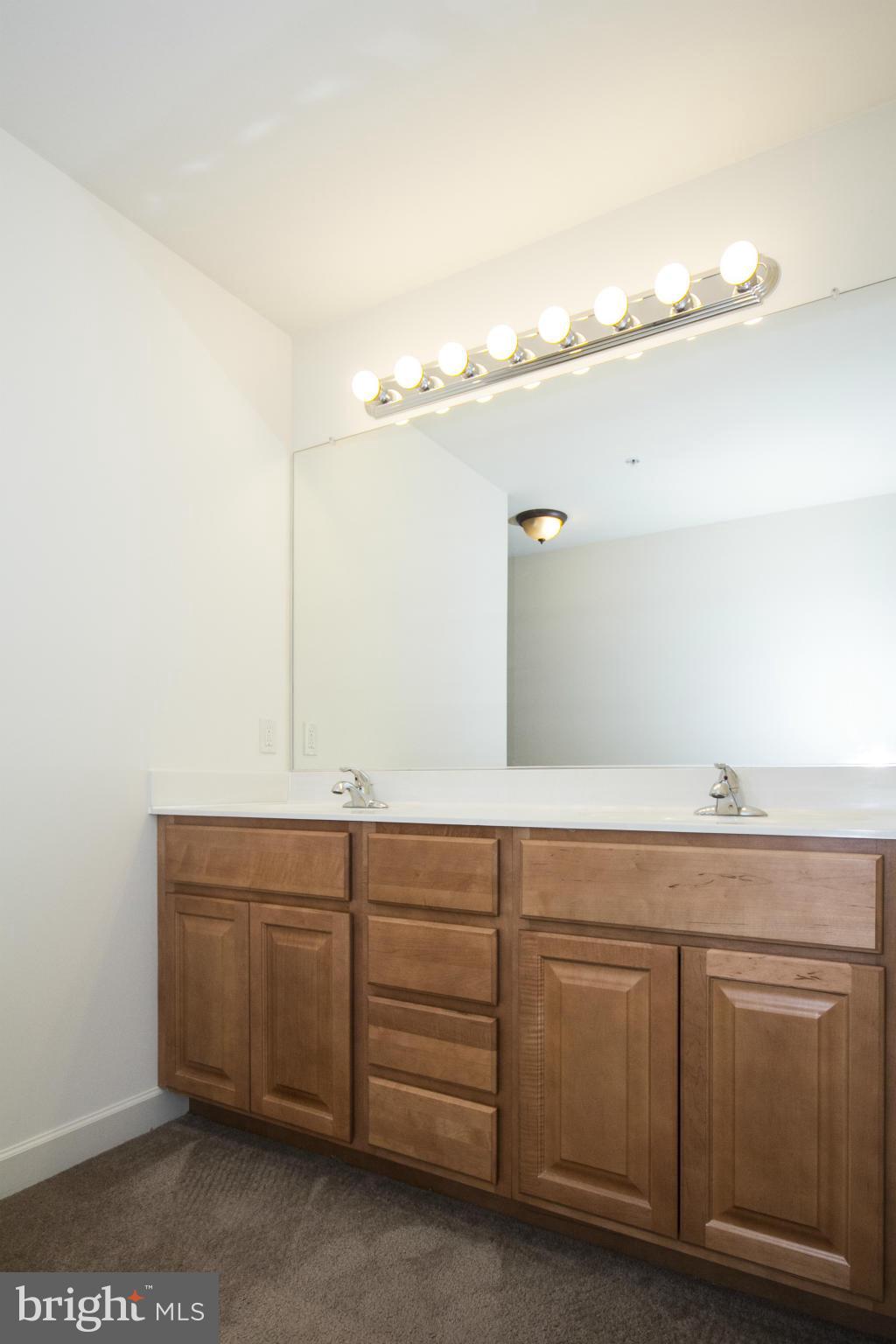 1009 Wampler Road Baltimore, MD 21220 - Photo 10 of 14 Bath (Master)