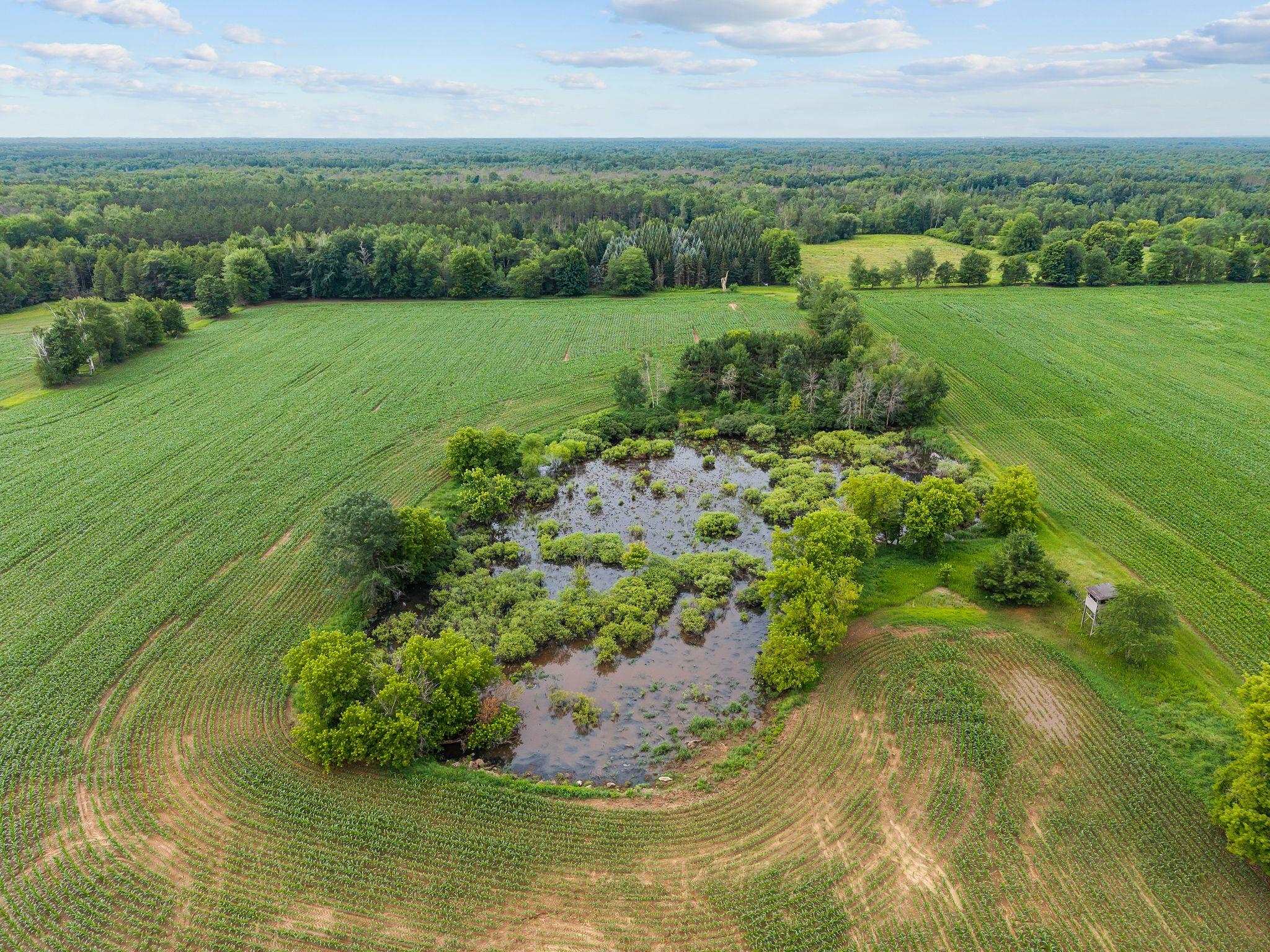 W5999 County Rd T Shawano, WI 54166 - Photo 6 of 38