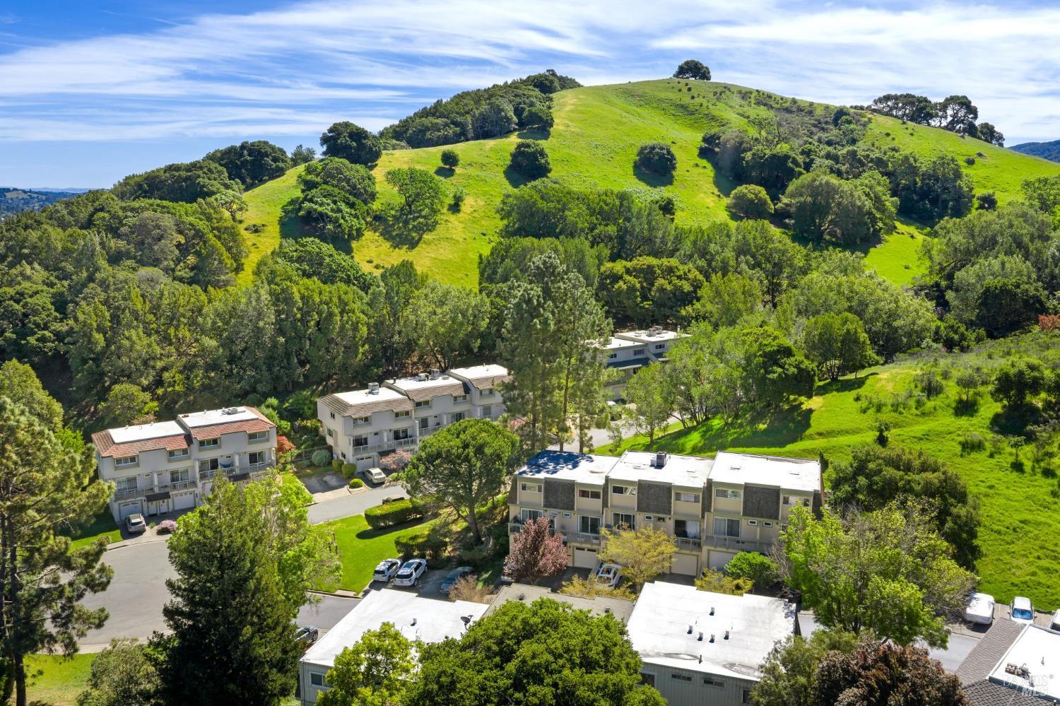 3 Aries Lane Novato, CA 94947 - Photo 41 of 51