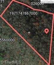 0 Mast Gap Road, Unit TRACT 1 Sugar Grove, NC 28679 - Photo 1 of 1 Gallery Image 1