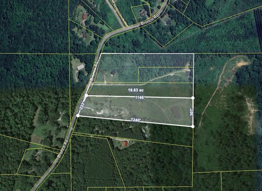 Image 12-1-25 at 2.07PM