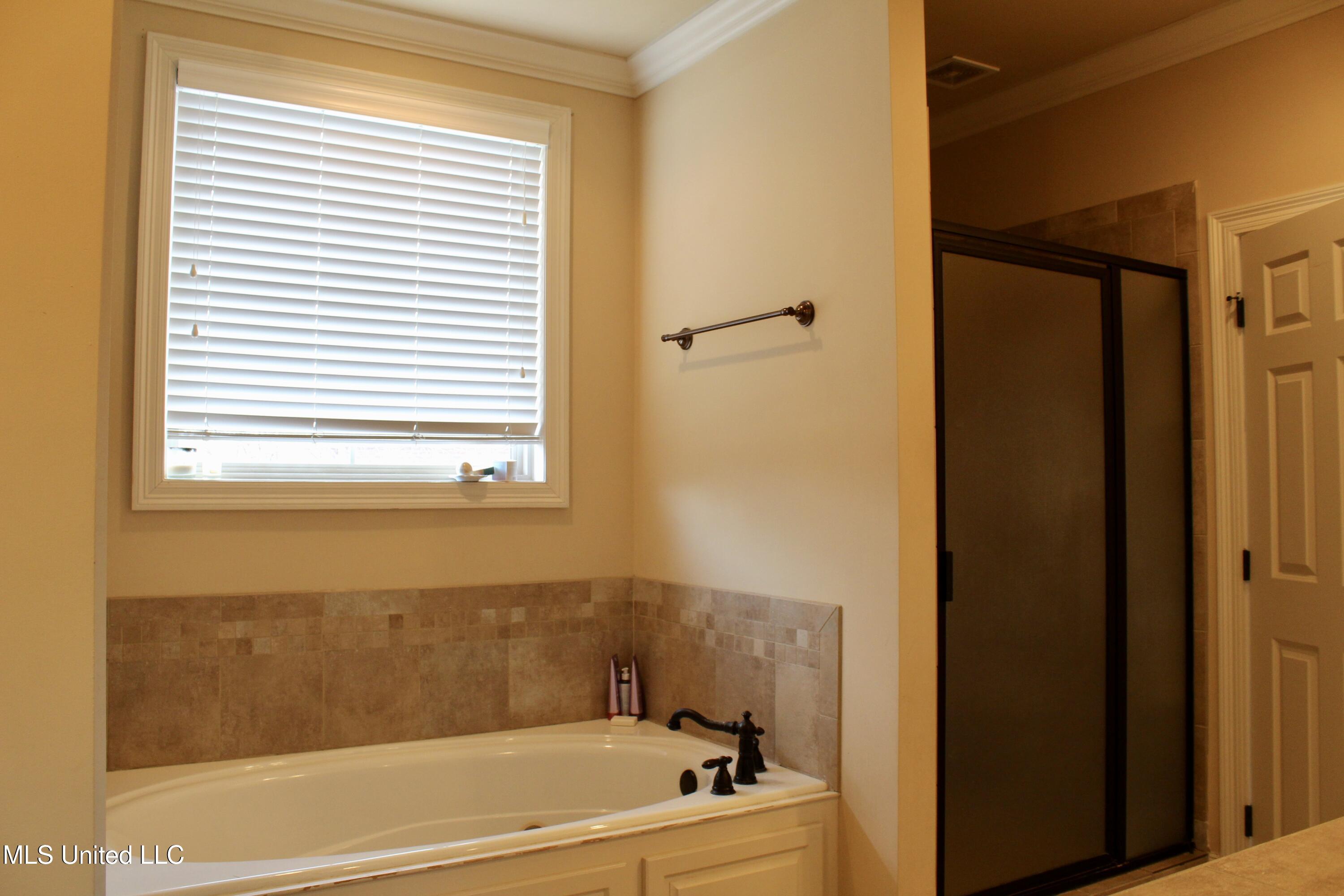 102 Wisteria Court Madison, MS 39110 - Photo 16 of 37 fullsizeoutput_1ff5