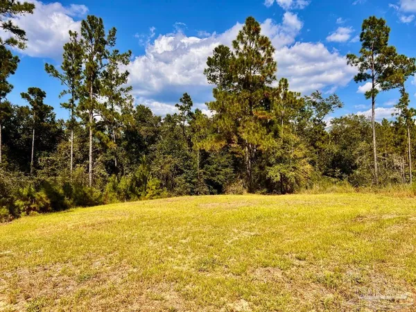 $165,000 | Lot 4 Morgans Branch, Molino, FL 32577