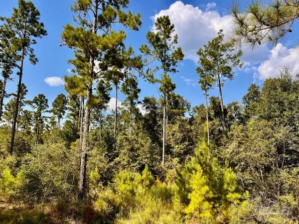 $165,000 | Lot 4 Morgans Branch, Molino, FL 32577