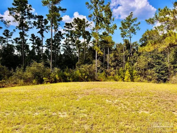 $165,000 | Lot 4 Morgans Branch, Molino, FL 32577