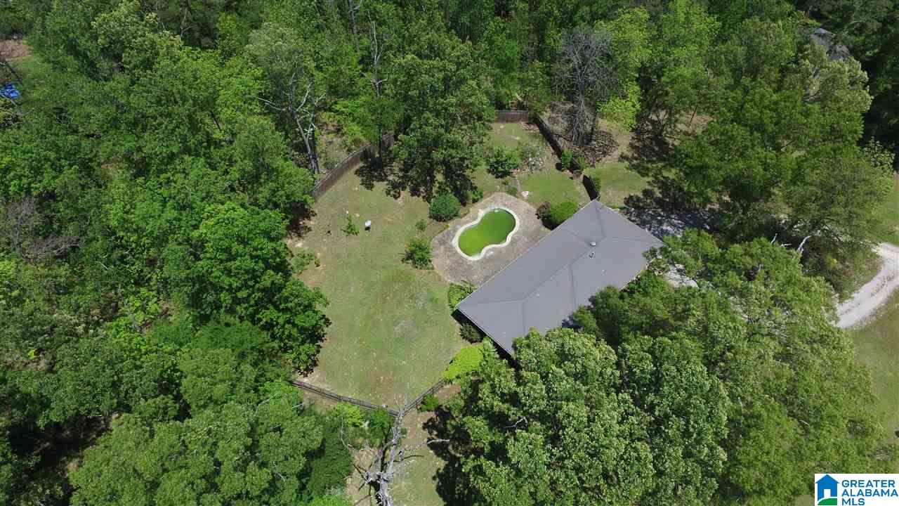 809 Anniston Beach Road Anniston, AL 36206 - Photo 7 of 45