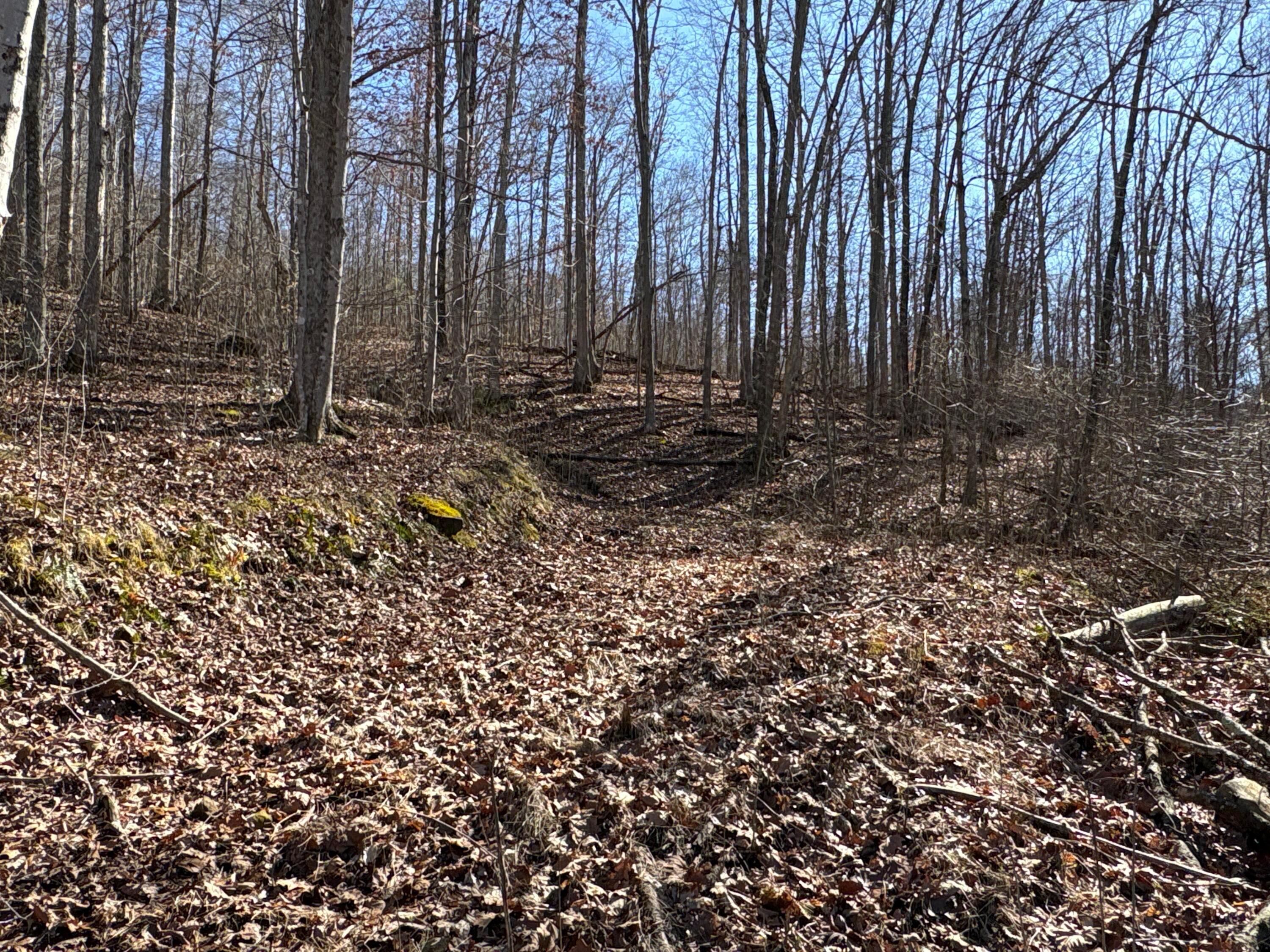 0 Millers Run-Fallen Timber Road Lucasville, OH 45648 - Photo 9 of 24 pic 8