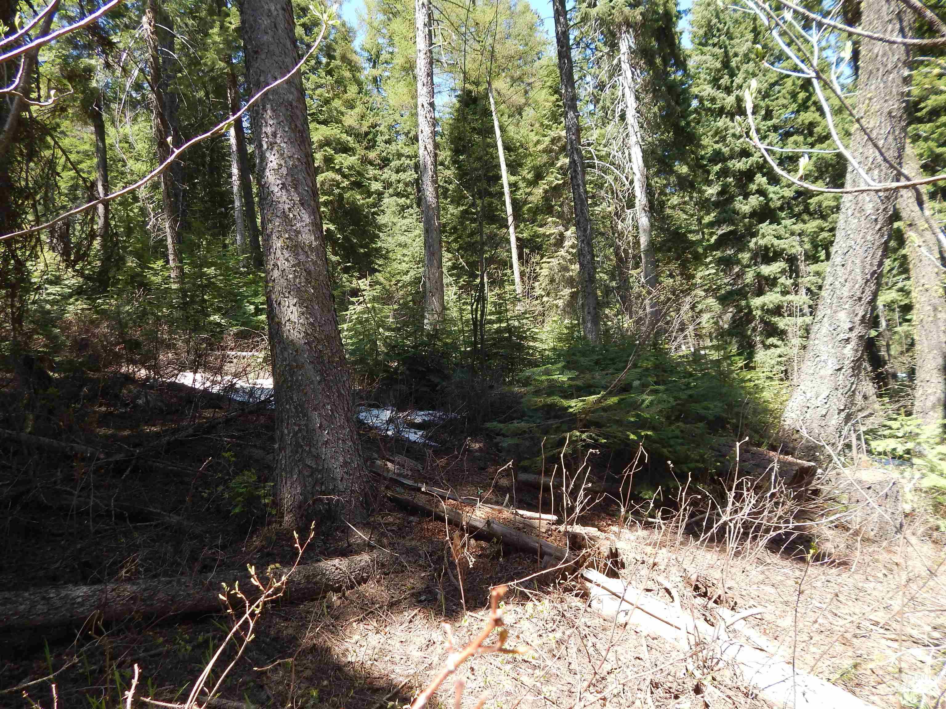 1601 Bear Trail Loop Cascade, ID 83611 - Photo 13 of 26