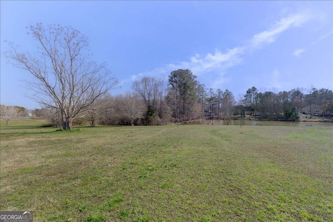 309 High Falls Road Jackson, GA 30233 - Photo 43 of 48