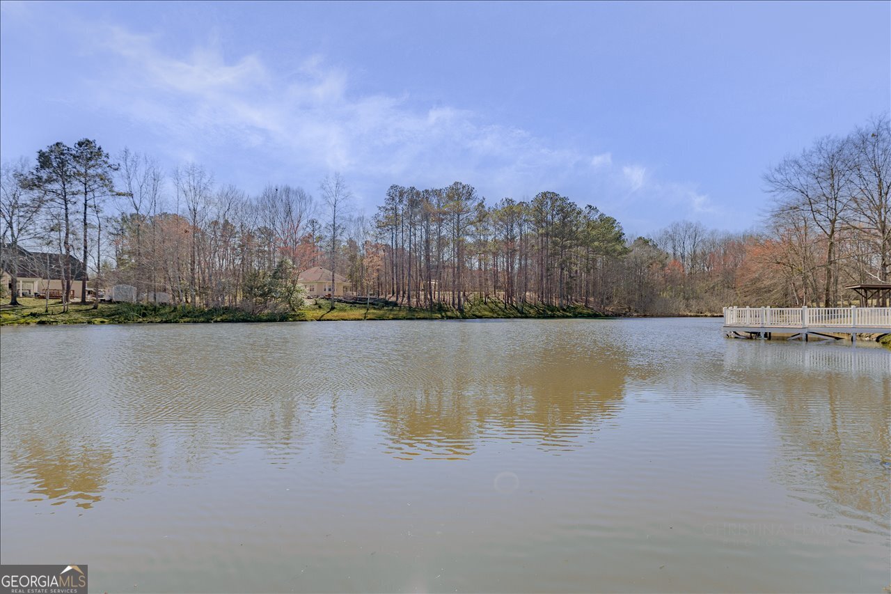 309 High Falls Road Jackson, GA 30233 - Photo 45 of 48