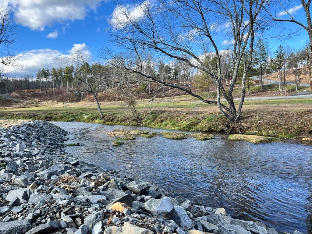 Lot 112 Split Creek Road Morganton, GA 30560 - Photo 6 of 10 Gallery Image 6