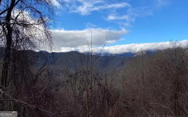 $75,000 | 0 Buck Naked, Bryson City, NC 28713