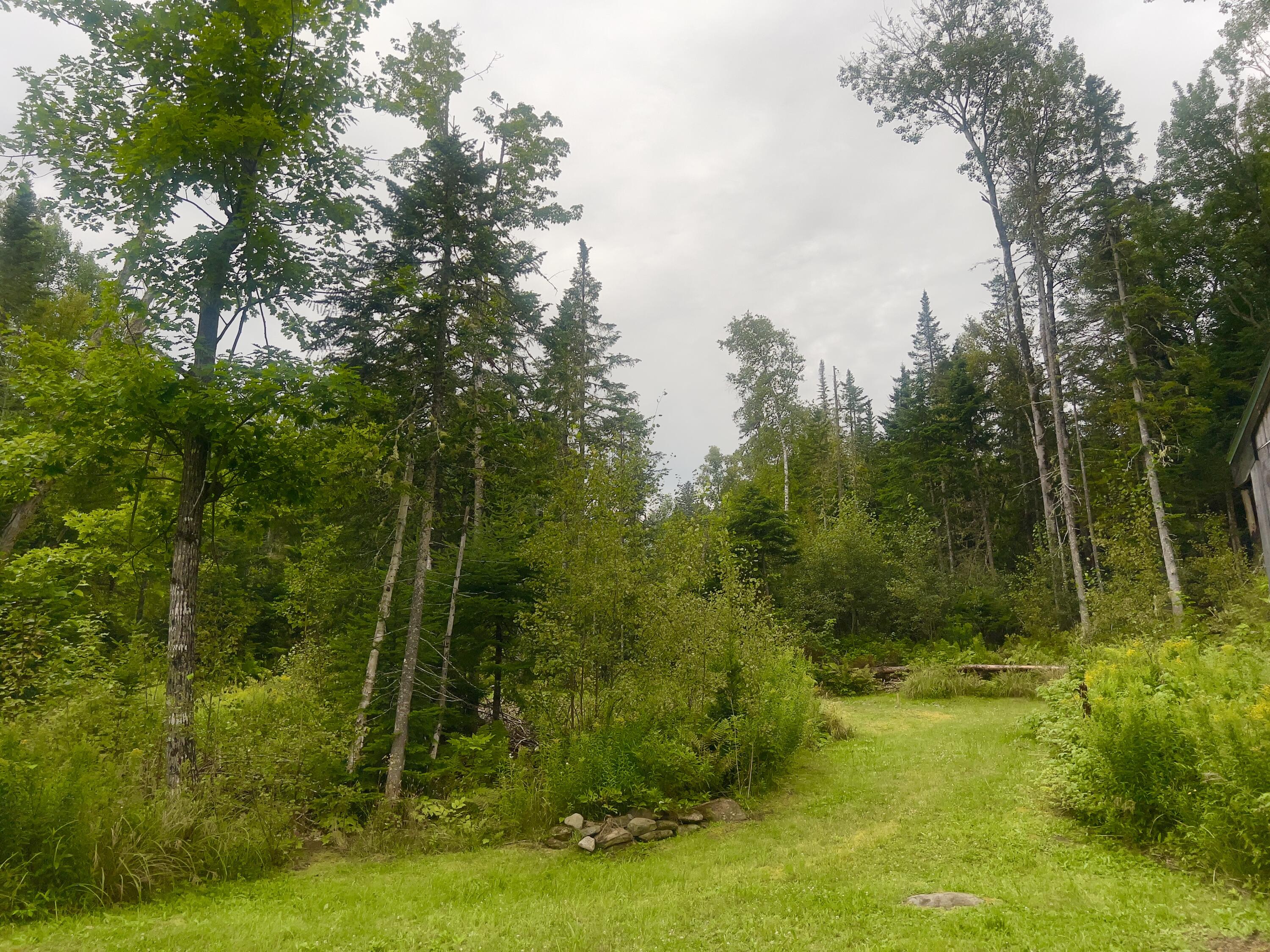 4 Bird's Eye Road Rangeley, ME 04970 - Photo 7 of 45 Yard