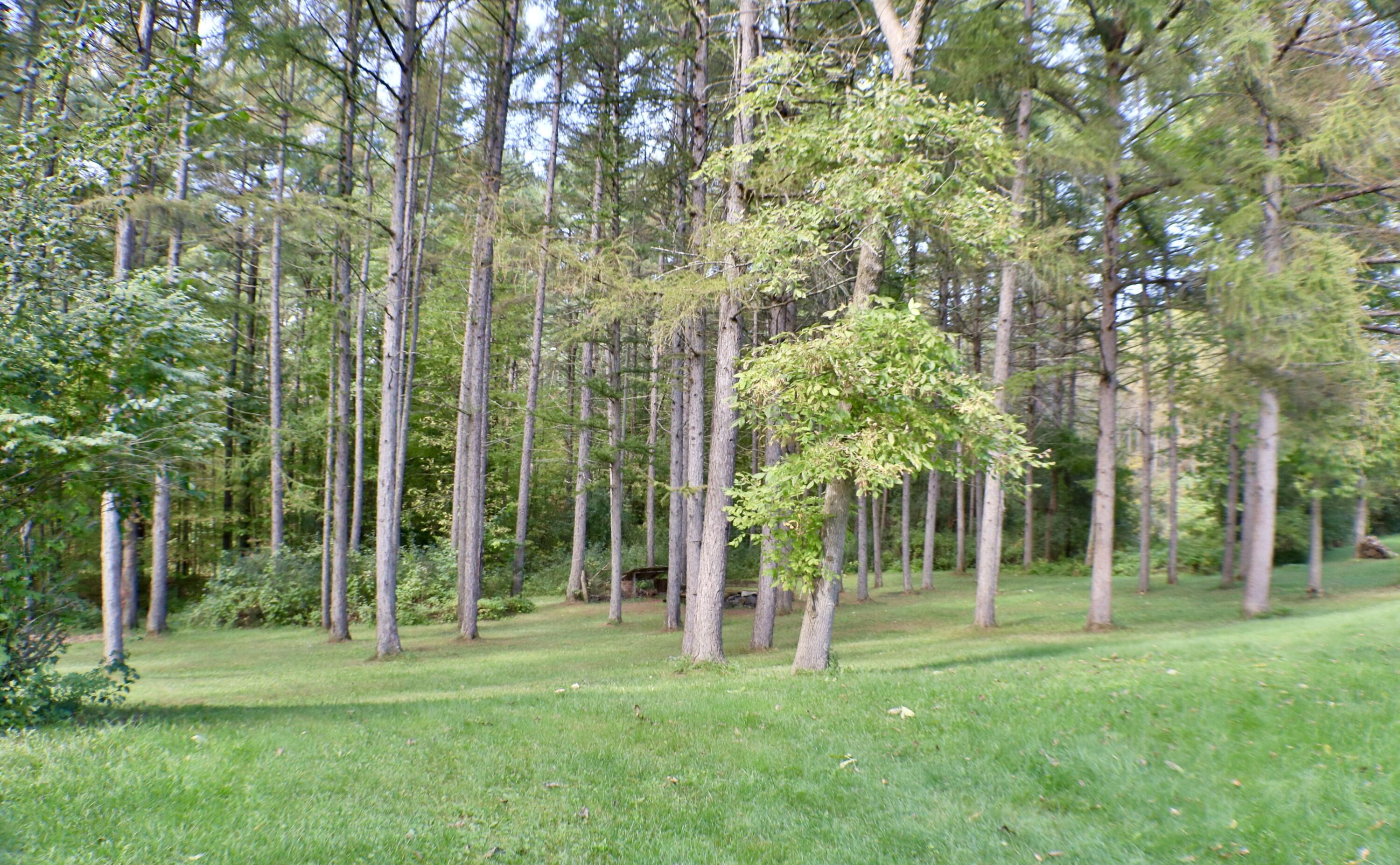 16 Riley Way Peru, NY 12972 - Photo 28 of 37 Gallery Image 28