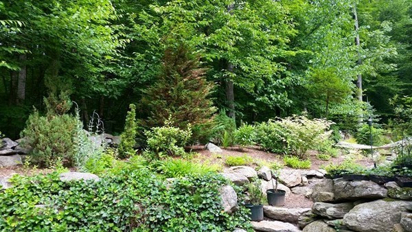 181 Burleigh Road Wilbraham, MA 01095 - Photo 18 of 22 Gallery Image 18