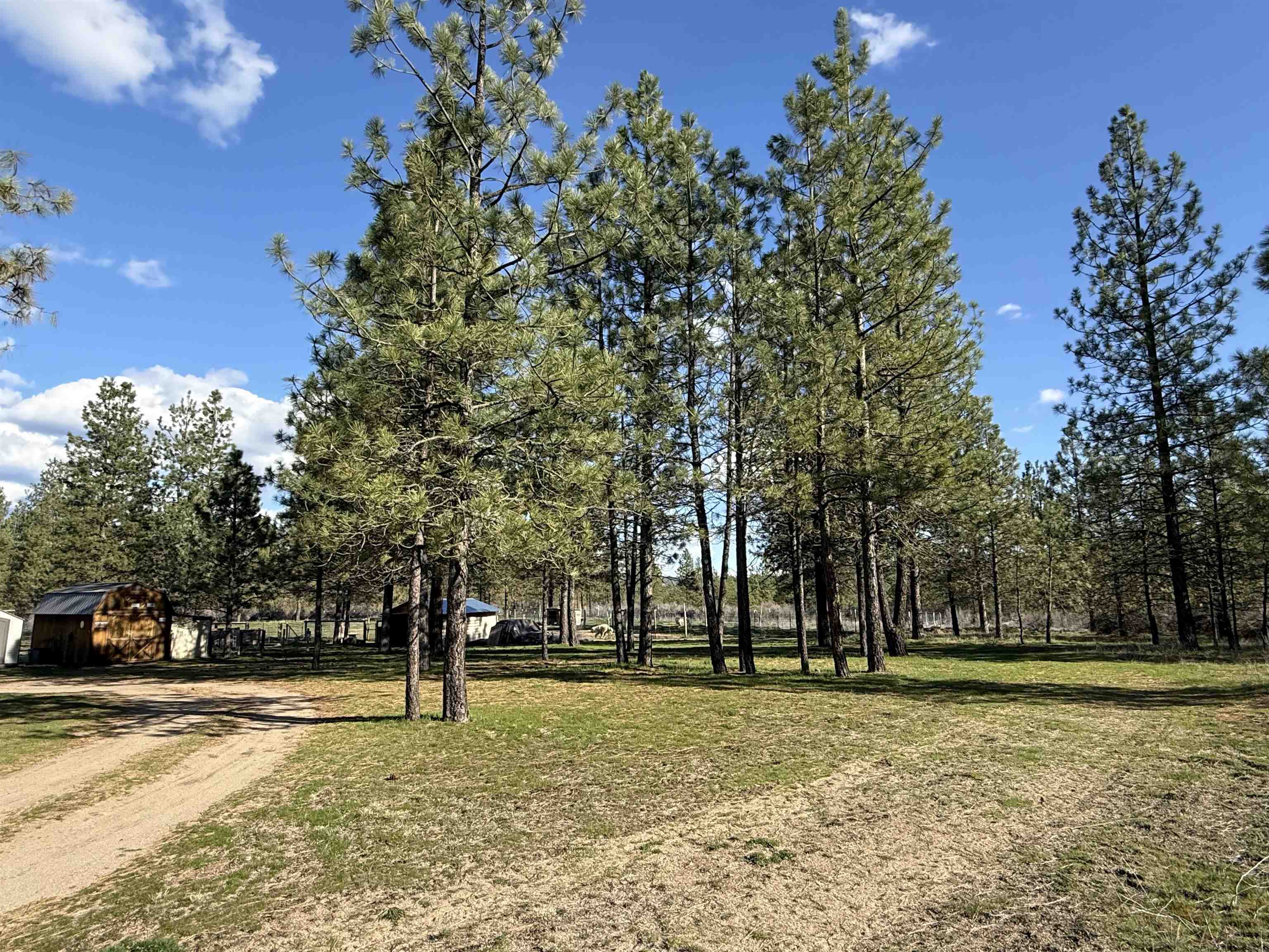 48568 Bull Run Road East Ford, WA 99013 - Photo 32 of 46