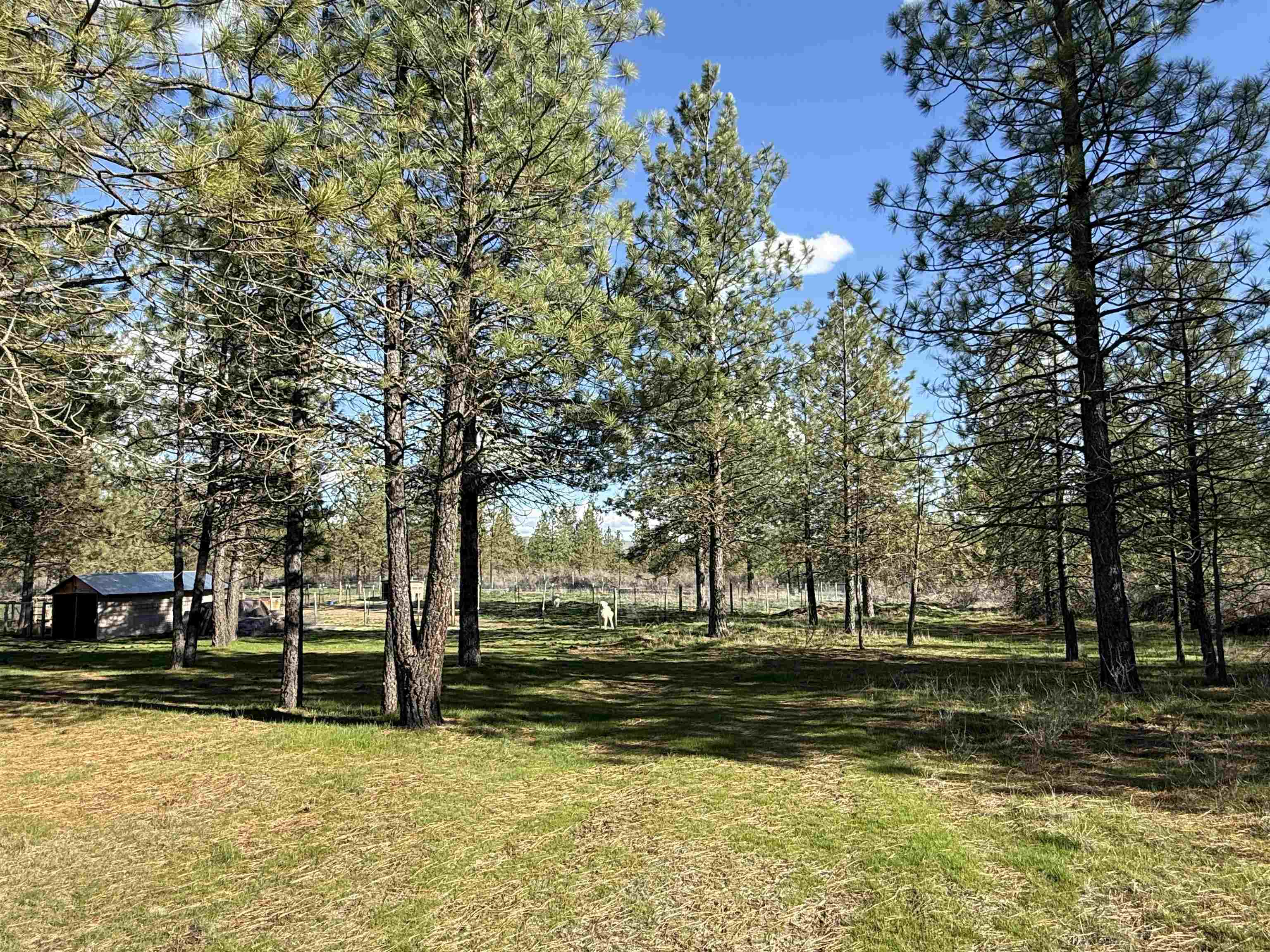 48568 Bull Run Road East Ford, WA 99013 - Photo 33 of 46