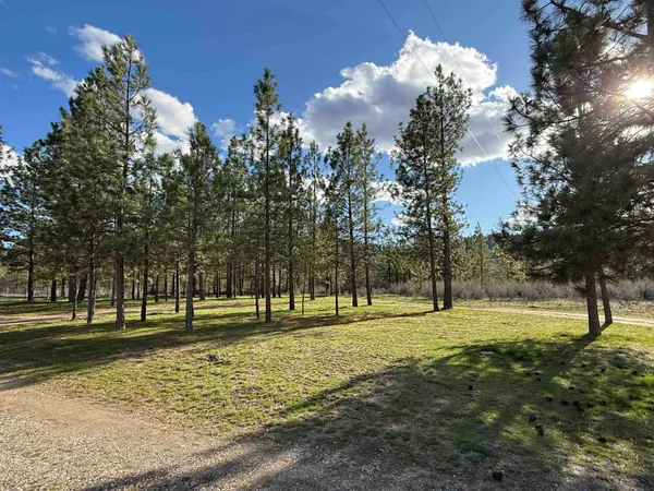 $359,000 | 48568 Bull Run Road East, Ford, WA 99013