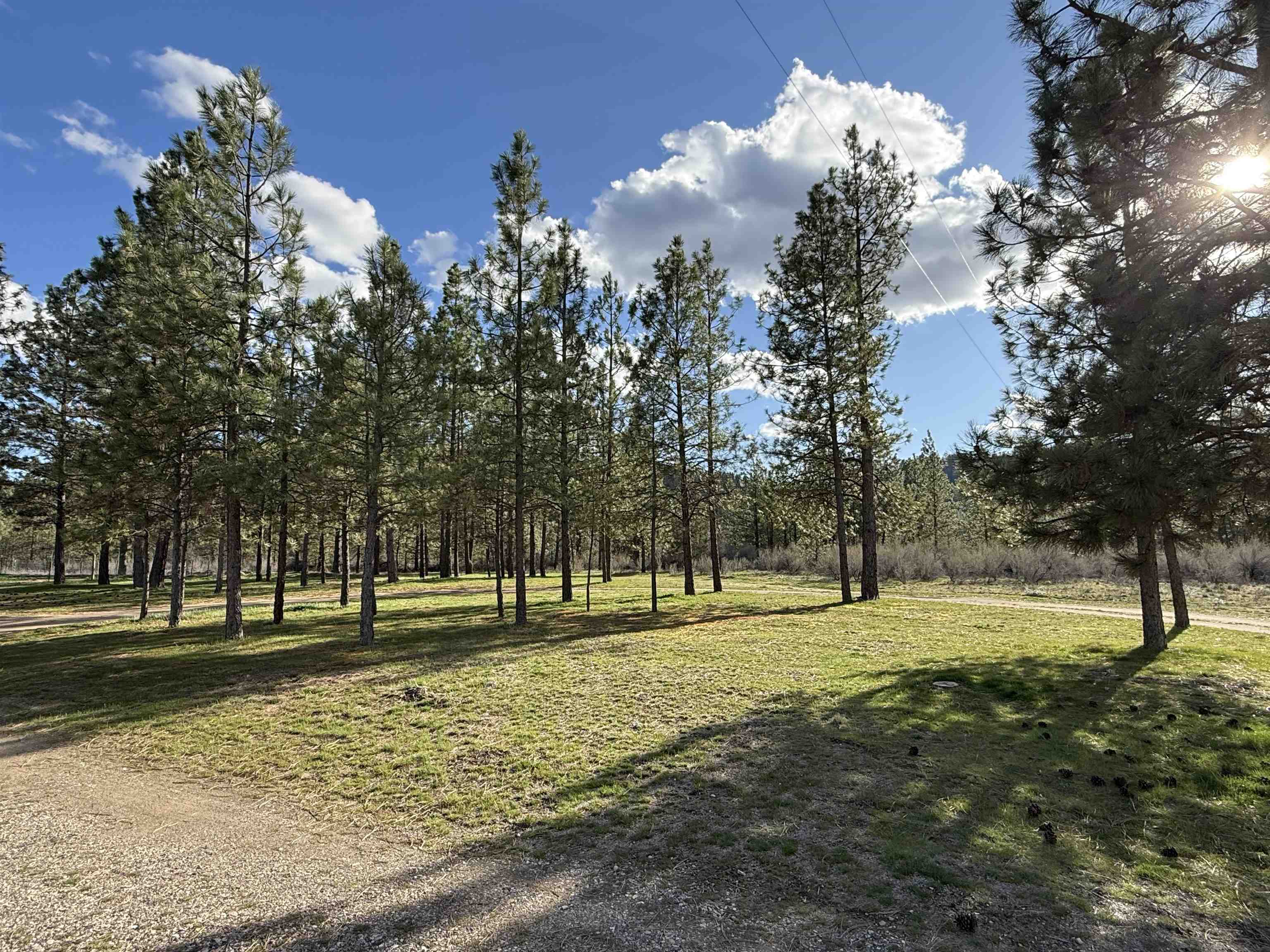 48568 Bull Run Road East Ford, WA 99013 - Photo 34 of 46