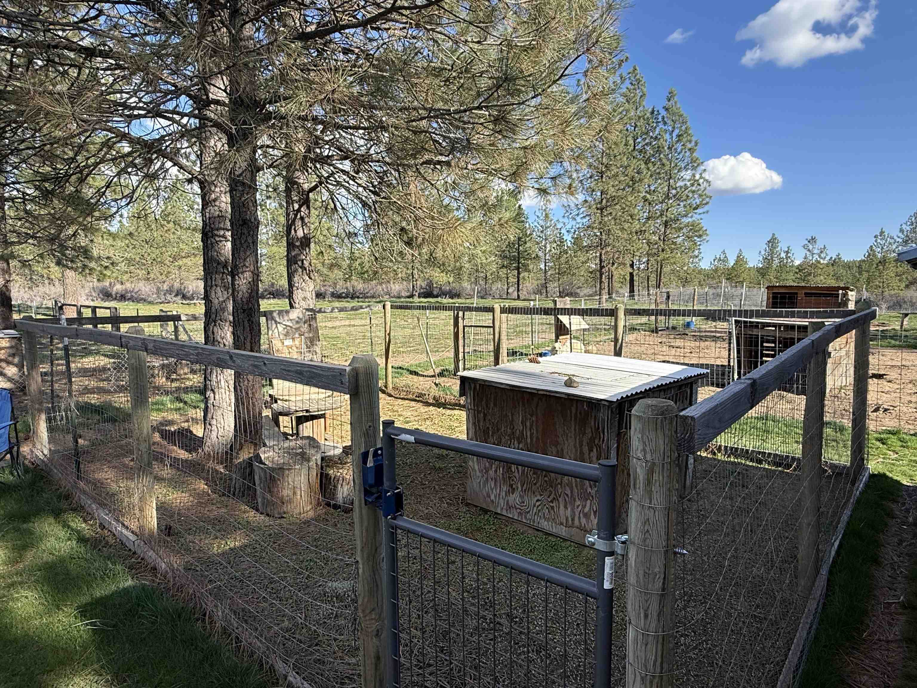 48568 Bull Run Road East Ford, WA 99013 - Photo 39 of 46