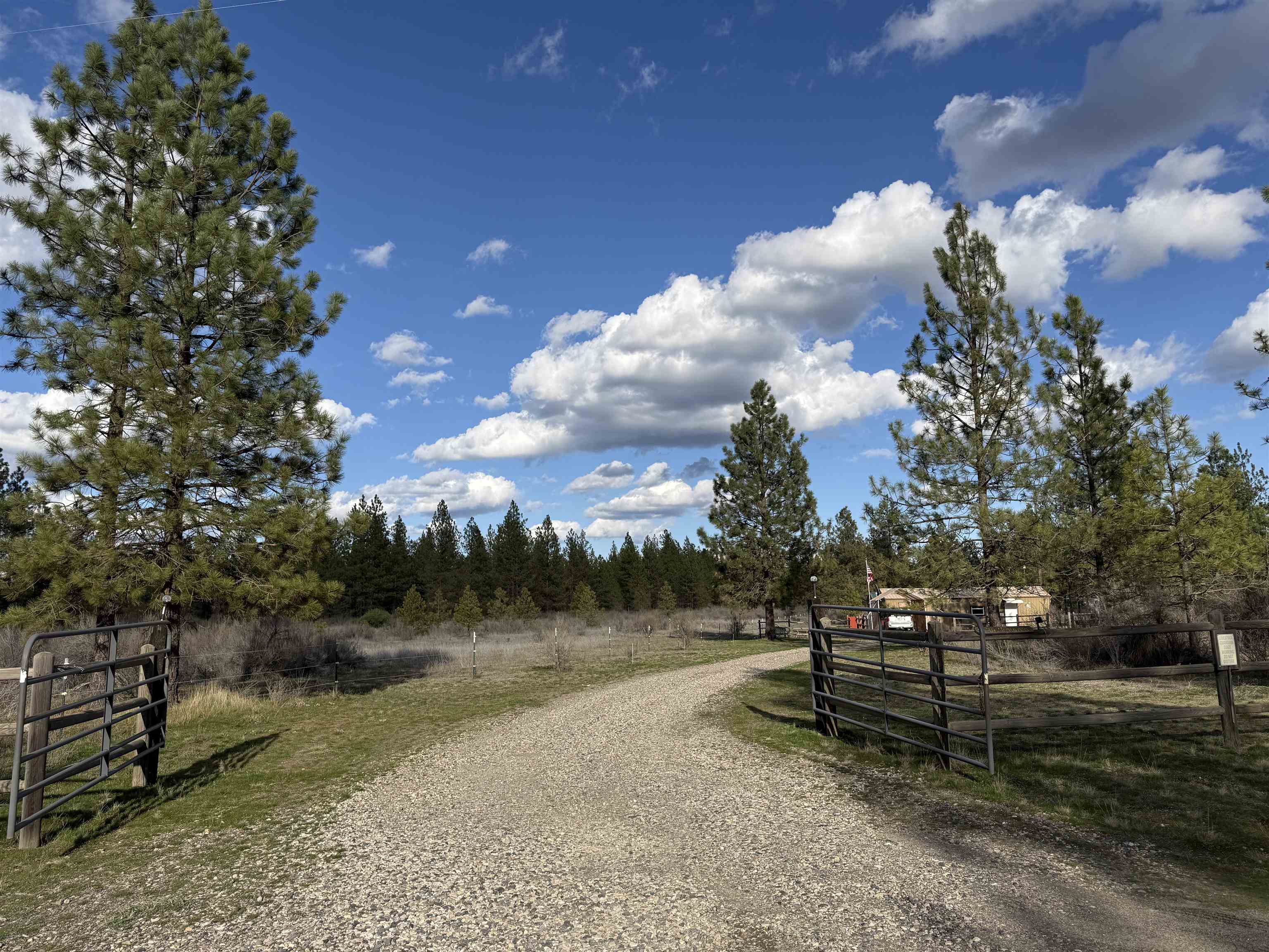 48568 Bull Run Road East Ford, WA 99013 - Photo 4 of 46