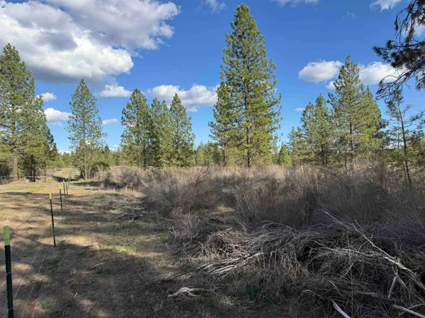 $359,000 | 48568 Bull Run Road East, Ford, WA 99013