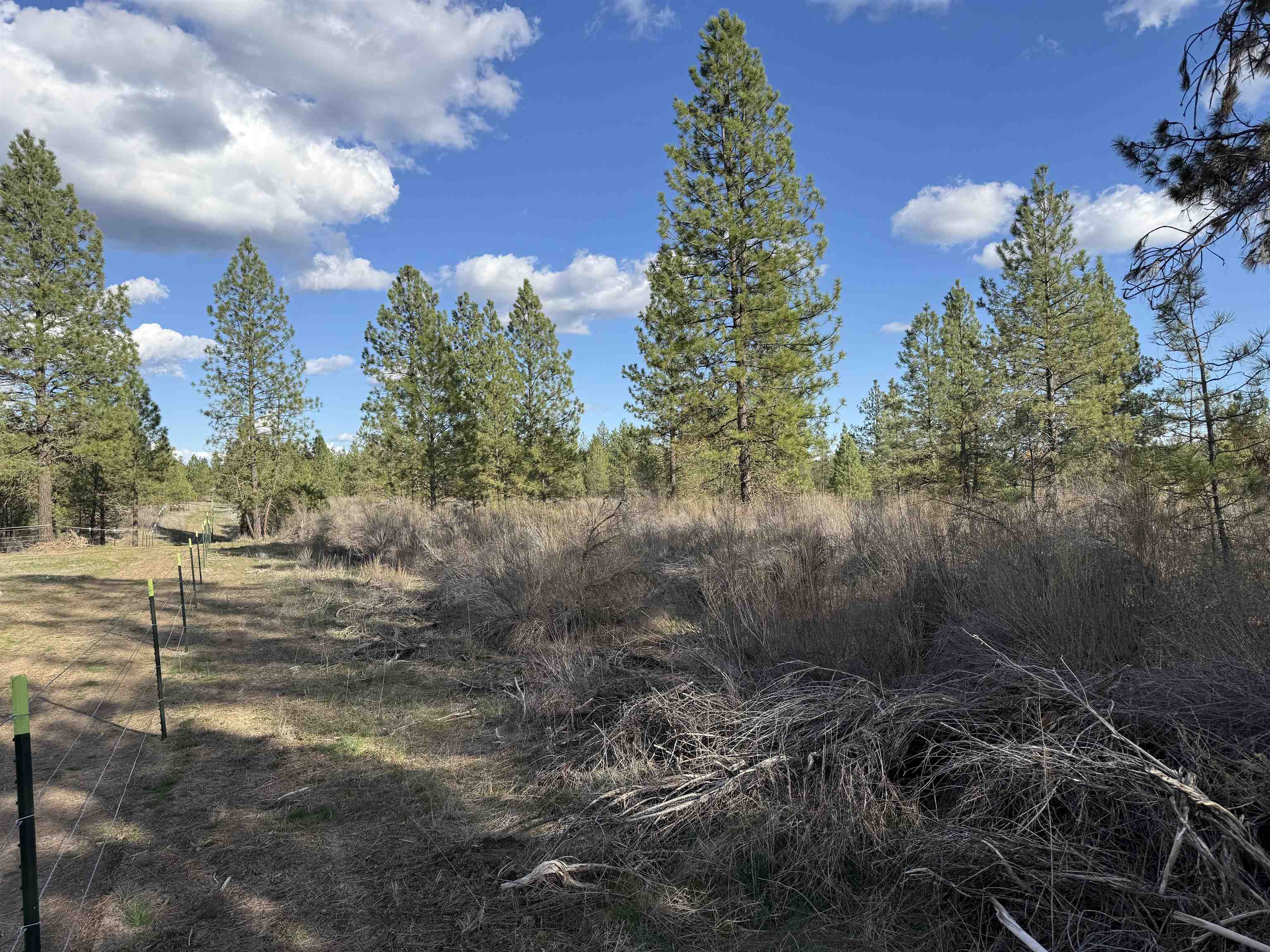 48568 Bull Run Road East Ford, WA 99013 - Photo 42 of 46