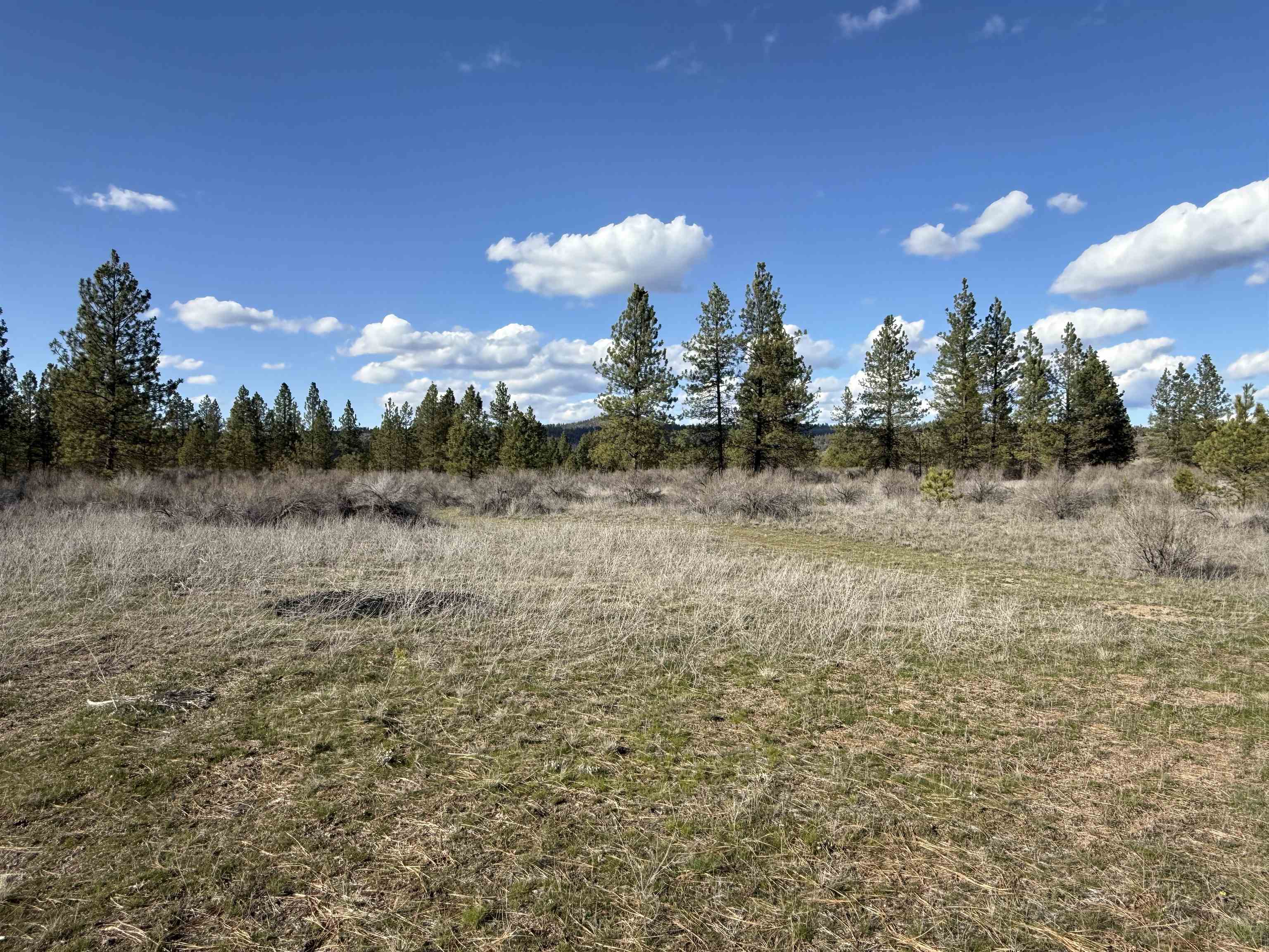 48568 Bull Run Road East Ford, WA 99013 - Photo 5 of 46