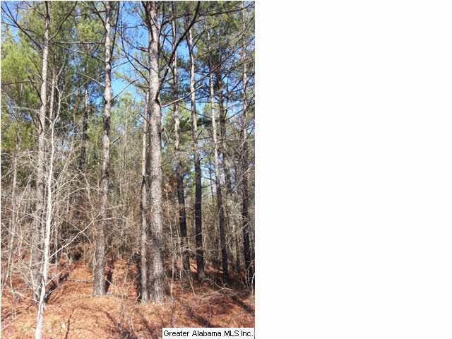 267 County Road, Unit 53 Lanett, AL 36863 - Photo 8 of 9