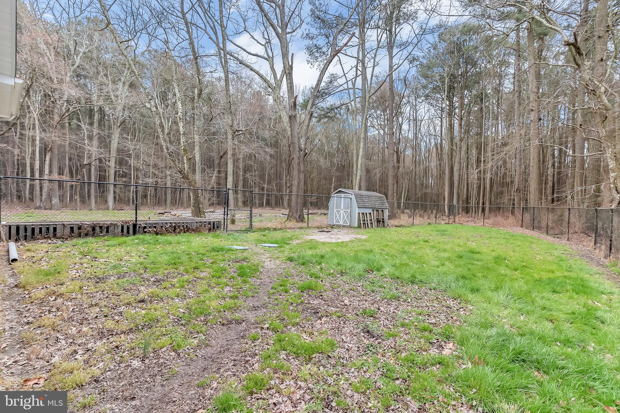 29827 Polks Road Princess Anne, MD 21853 - Photo 36 of 41 a view of outdoor space with deck and trees