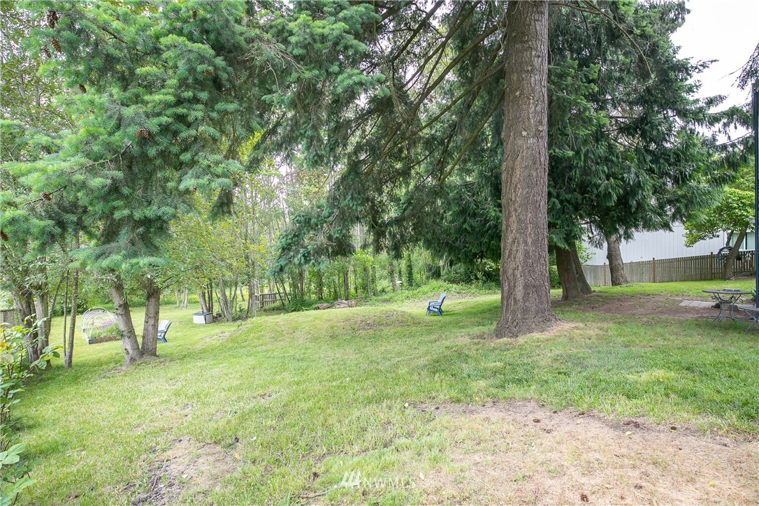 6745 18th Avenue Southwest Seattle, WA 98106 - Photo 20 of 24 a view of a tree in a park