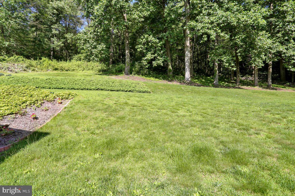 90 Preston Road Wernersville, PA 19565 - Photo 15 of 45 a view of a field with trees in the background