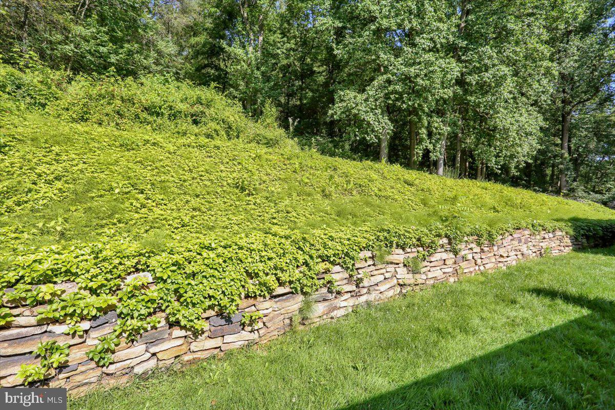 90 Preston Road Wernersville, PA 19565 - Photo 8 of 45 a view of a garden with a tree