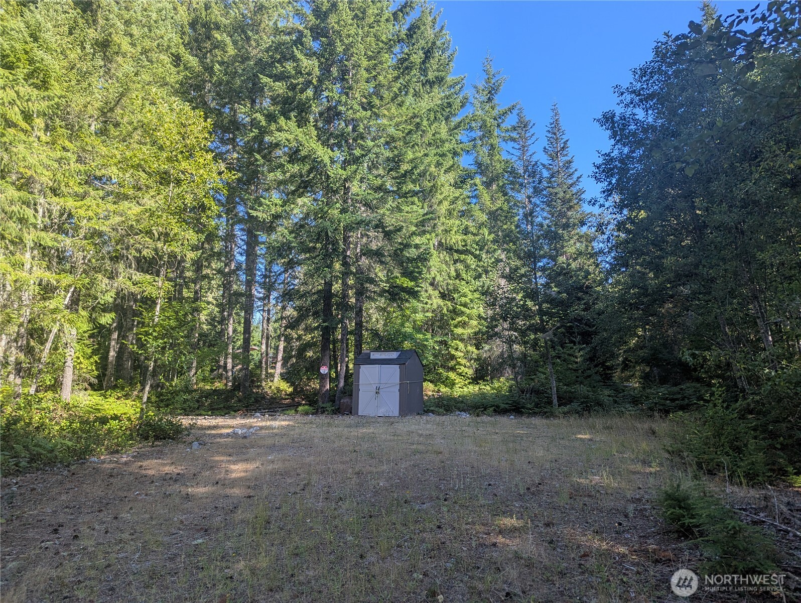 30 Nymark Drive Cougar, WA 98616 - Photo 1 of 13 a view of a yard with a tree