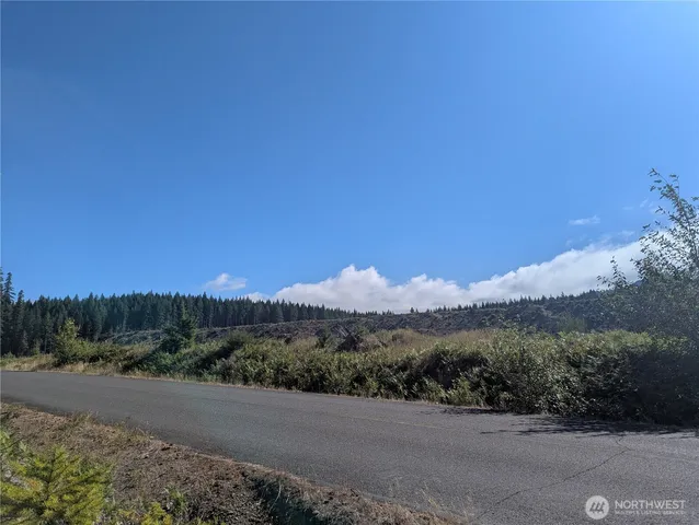 $45,000 | 30 Nymark Drive, Cougar, WA 98616