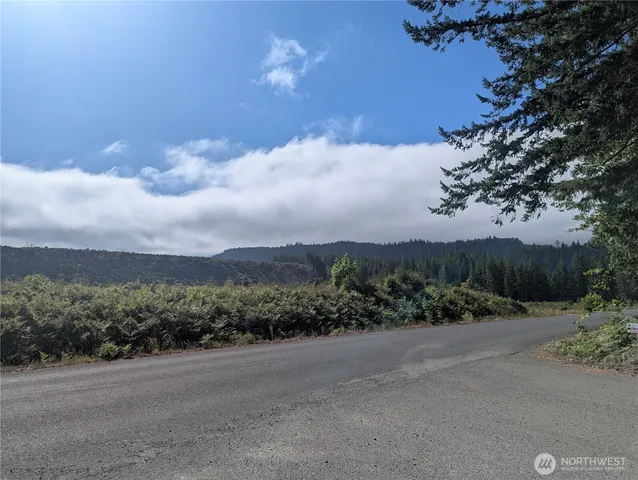 $45,000 | 30 Nymark Drive, Cougar, WA 98616