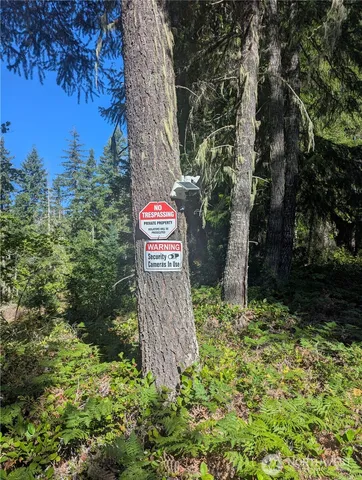 a sign that is sitting in front of a tree