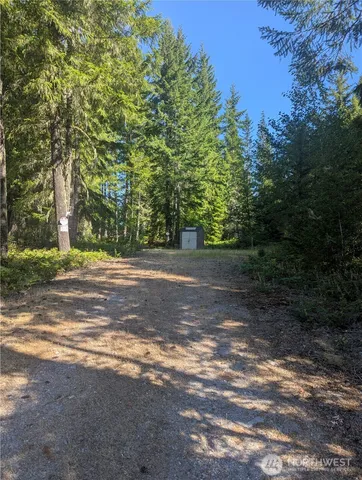 a view of a yard with large trees