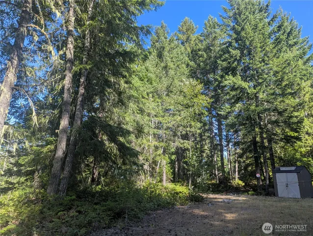 a view of a yard with large trees