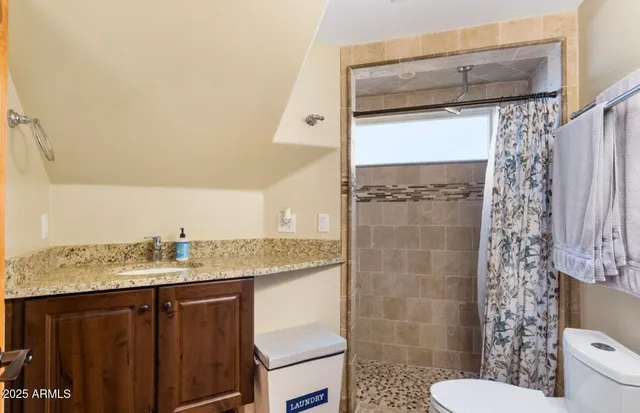 a bathroom with a granite countertop sink toilet and shower
