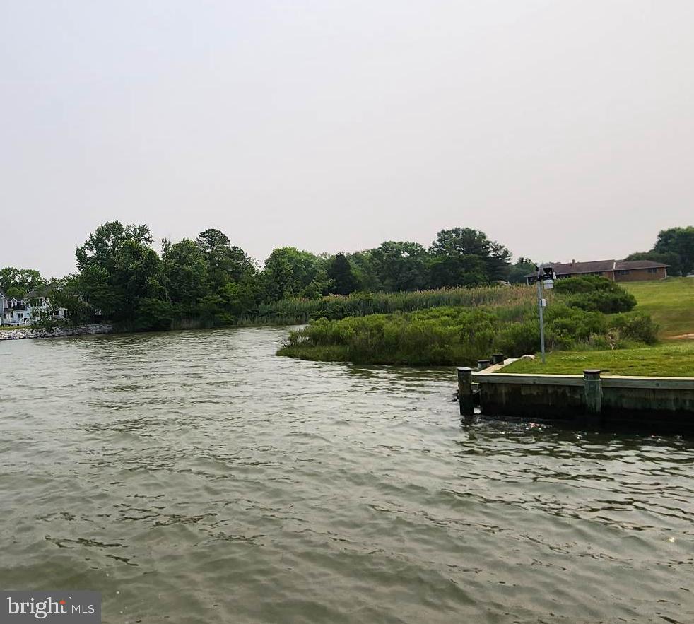 306 Bentons Pleasure Road Chester, MD 21619 - Photo 9 of 42