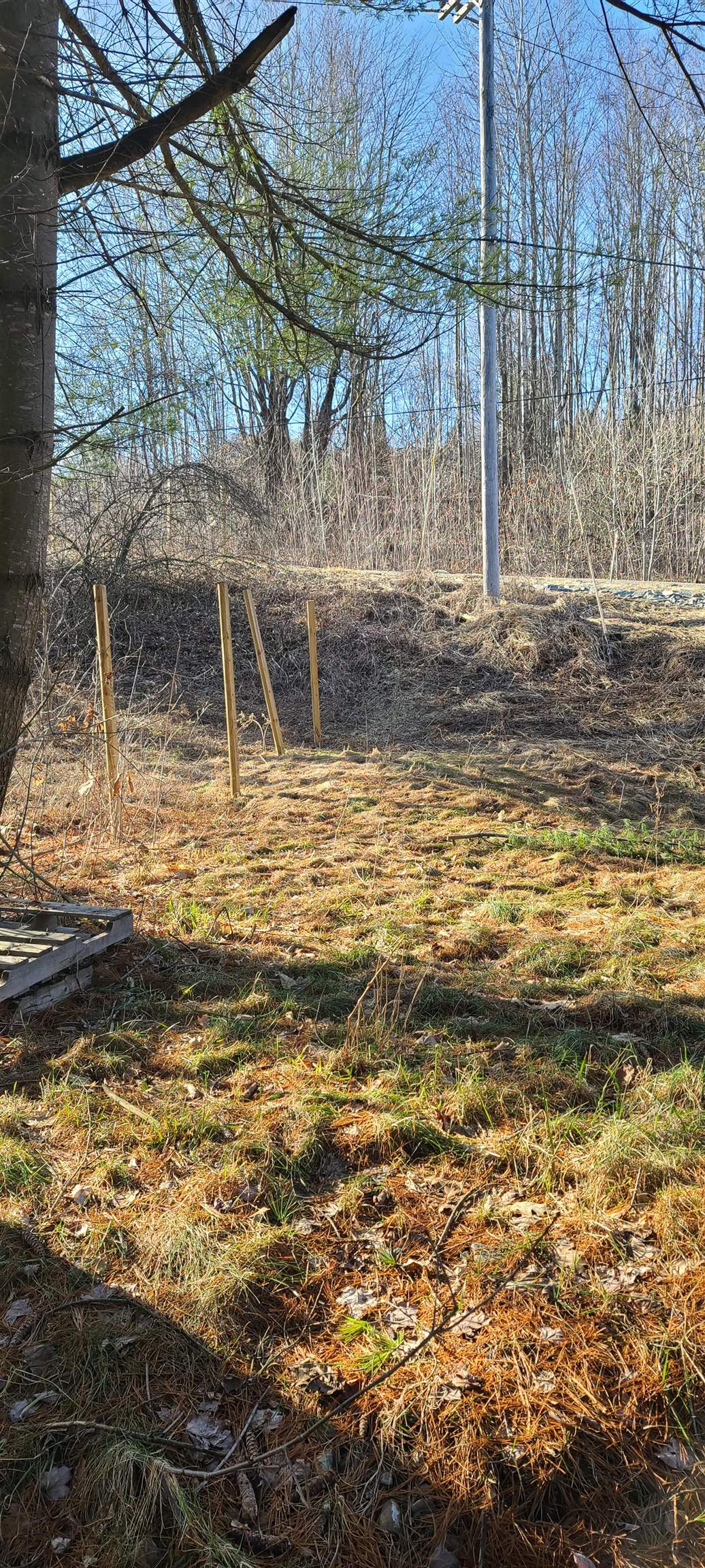 Lot 57 Sandy Bay Road Franklin, VT 05457 - Photo 17 of 21 Gallery Image 17