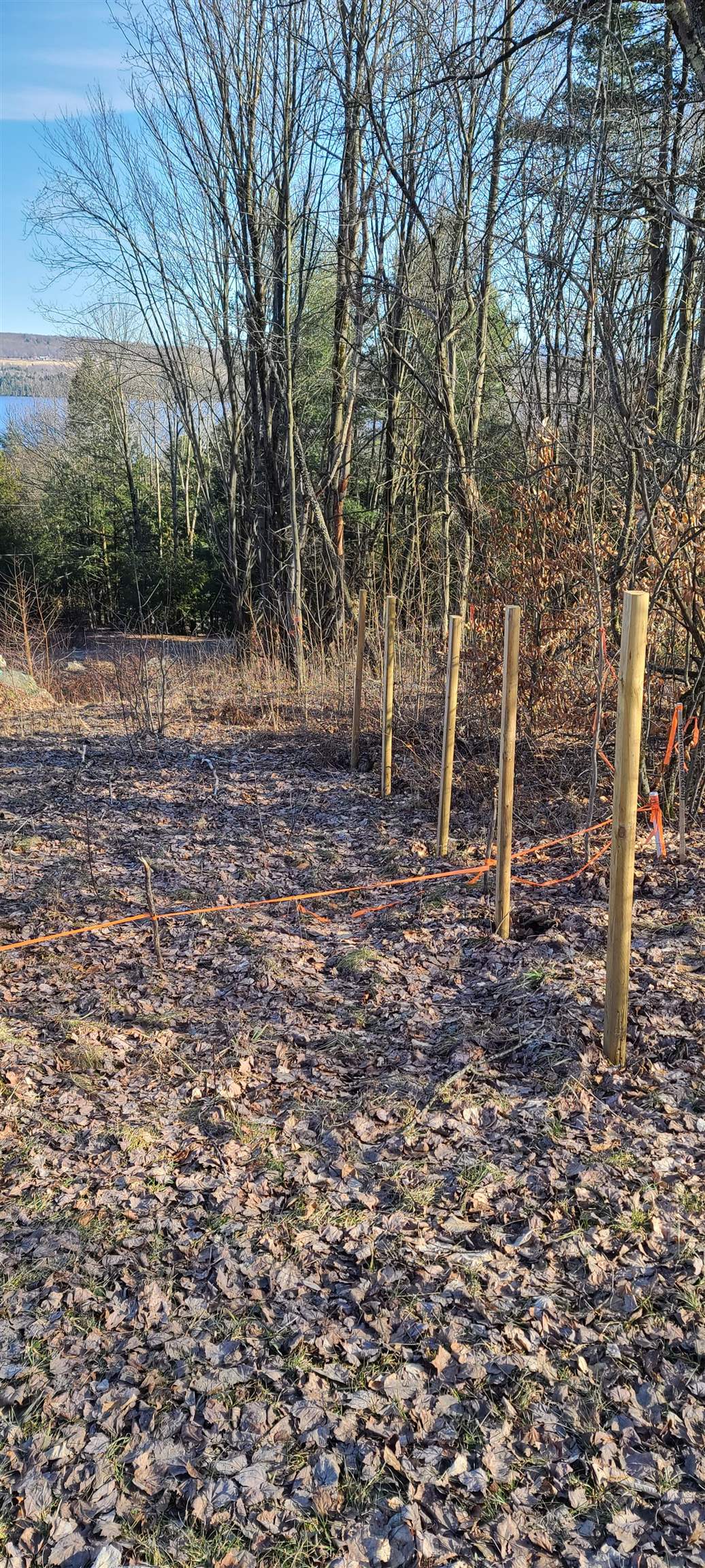 Lot 57 Sandy Bay Road Franklin, VT 05457 - Photo 2 of 21 Gallery Image 2