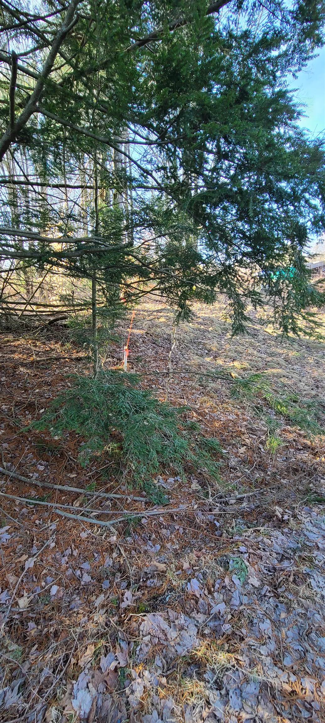 Lot 57 Sandy Bay Road Franklin, VT 05457 - Photo 21 of 21 Gallery Image 21