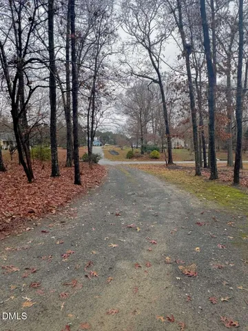 a view of dirt yard with a trees