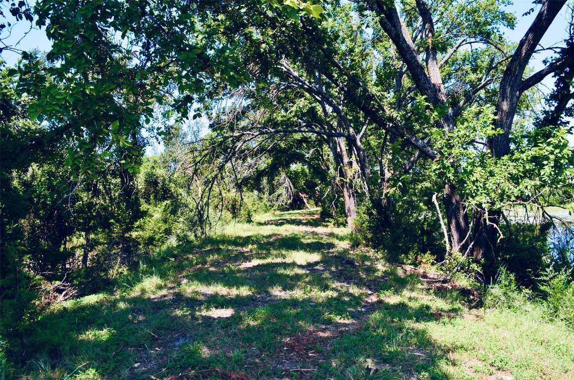 8060 County Road 210 Bertram, TX 78605 - Photo 20 of 40 View of nature