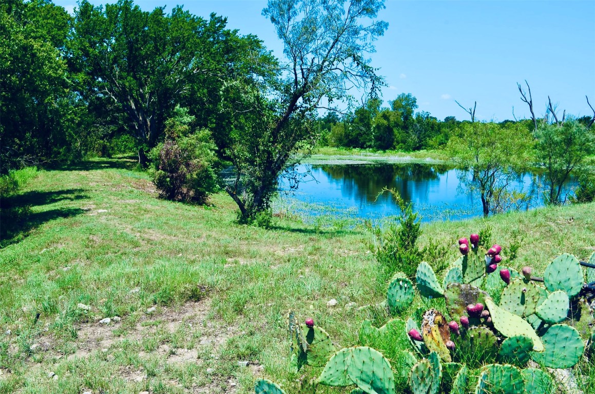 8060 County Road 210 Bertram, TX 78605 - Photo 3 of 40 Pond