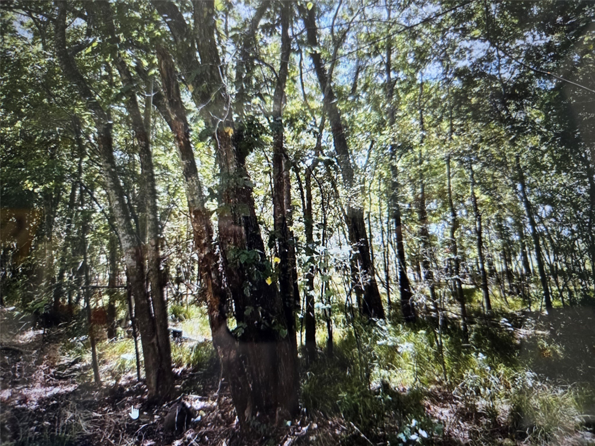 Lot 823 Eskimo Lane/ Path Angleton, TX 77515 - Photo 2 of 12