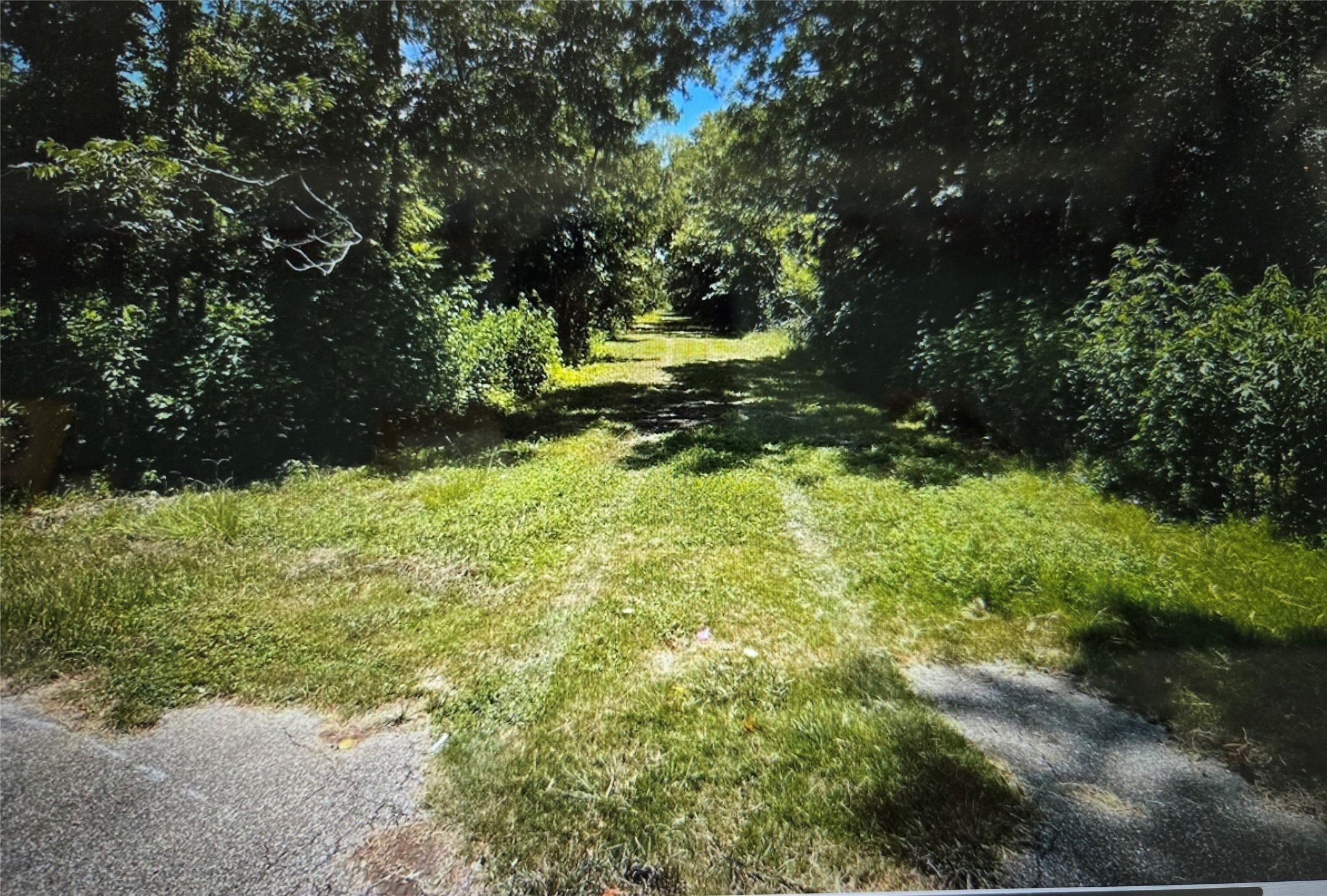 Lot 823 Eskimo Lane/ Path Angleton, TX 77515 - Photo 3 of 12 a view of yard with green space
