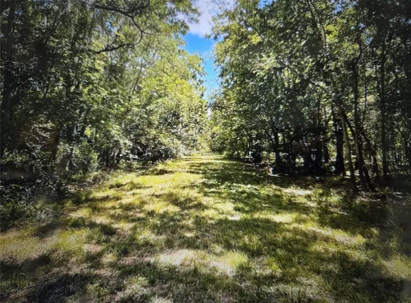 a view of outdoor space basket ball court